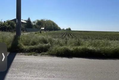 Teren de 1000 mp, în Sărulești - 3