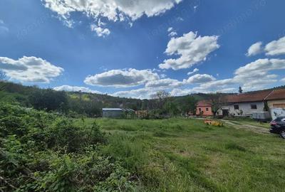 Teren de 1400 mp, în Goruia - 12