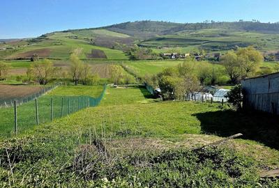 Casă cu 5 camere cu Teren 20000 Mp în Jibert - 6