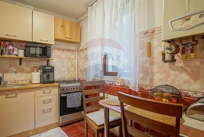 Apartament cochet cu 2 camere de vanzare in Cartierul Noua - 9