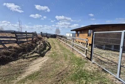 Casă cu 3 camere în Măguri - 9
