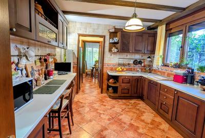 Izbiceni-Coralilor-Damaroaia,eleganta si robusta,cu garaj,curte intima,vegetatie - 13