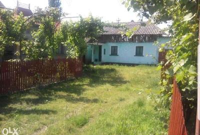 Casă cu 5 camere cu Teren 2200 Mp în Lunca - 1