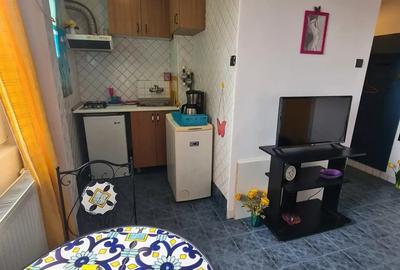 Garsoniera primitoare si boema -Pta Alba Iulia - unirii DB1053 Garsoniera primitoare si boema -Pta Alba Iulia - unirii DB1053 - 4