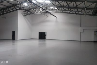 Hala Industriala Premium de inchiriat - 4
