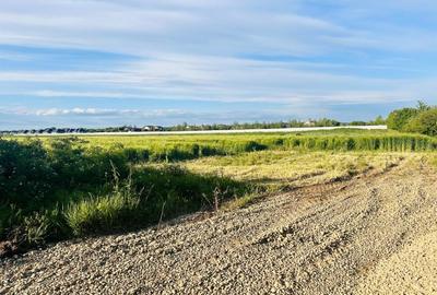 TEREN INTRAVILAN |  1000 mp | CORBEANCA | TAMASI | PADURE | - 3