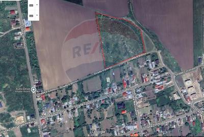 Teren agricol intravilan de 16700 mp, în Vest - 5