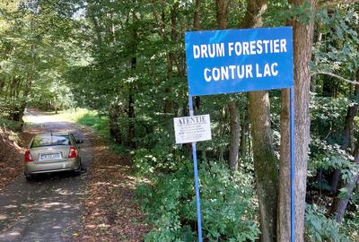 Teren extravilan de 966 mp, în Fârdea - 2