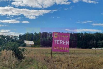 Gulia teren 11.157 mp, langa Padurea Cereanca - 2