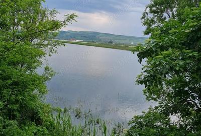 Teren de 1000 mp, în Cipău - 3