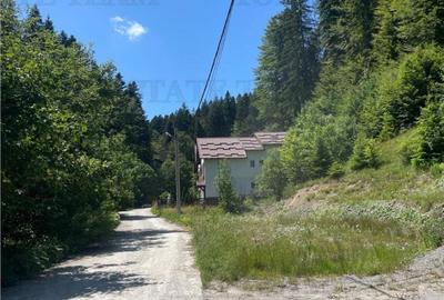 IDEAL INVESTITIE TEREN PREDEAL, 1936 mp intravilan, toate ut - 2