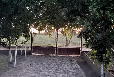 Casa din caramida - 6