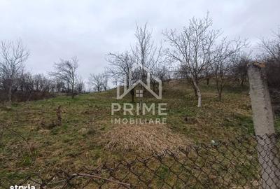 Casă cu 2 camere cu Teren 3000 Mp în Cricău - 4