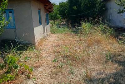 Casa de vanzare cu teren - 1