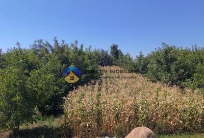 Teren de vanzare 1935 mp Piatra Neam? - Str. Plantelor - 3