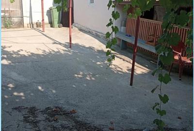 Casă cu Teren 3000 Mp în Central