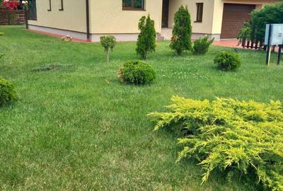 Casă cu 3 camere în Dumbrăvița - 3