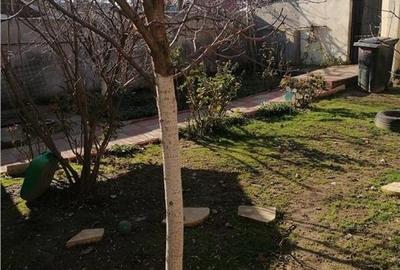 Casa 4 camere si teren in Glina - 3