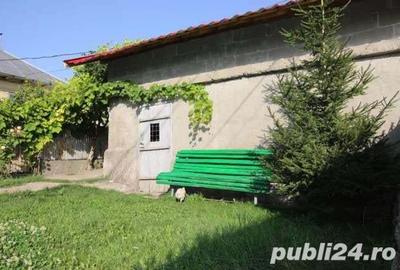 Casă cu 5 camere cu Teren 5000 Mp în Topolog - 1