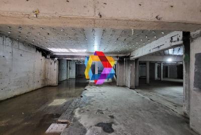 Clădire mixta -3600 mp - 8