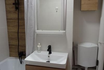 Apartament cu 2 camere decomandat, mobilat în Morarilor - 15