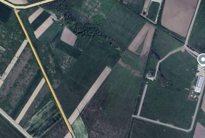 Teren de 8355 mp, în Saca - 3