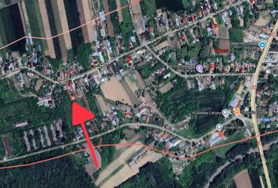 Teren Construcții intravilan de 870 mp, în Cătunu (Cornești) - 9