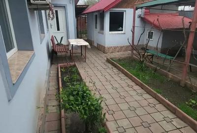 Casa teren ROSIORII DE VEDE Spatiu Comercial - 4