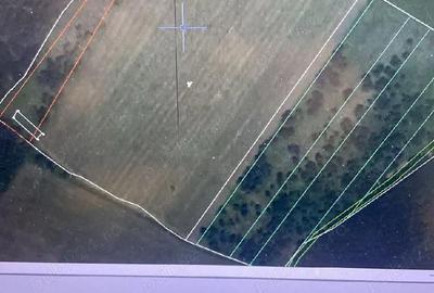Teren de 12300 mp, în Grebănu - 2