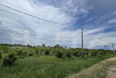 Teren de 3000 mp, în Costești