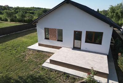 Casă cu 3 camere în Lunca Cetățuii - 1