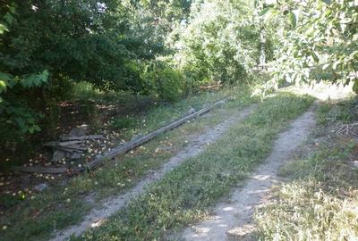 Zona de sud (Vidra) teren intravilan 4800 mp, toate utilitatile - 3