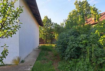 Doua case ,2000 mp teren,Slatioarele,Babana,Arges - 3