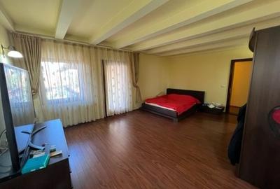 Casa moderna P+1E+M Lugoj 511mp - 21