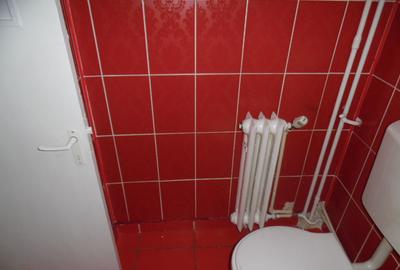 Inchiriez apartament cu 1 camere in Deva, Cuza Voda (Enescu), et. 1 - 13
