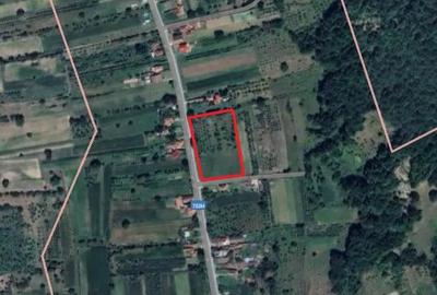 Teren de 6937 mp, în Sălătrucu - 3