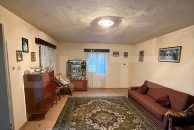 Proprietate completa in Sacuieni- Doua Case + Anexe - 6