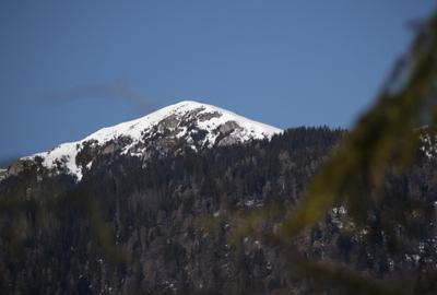 Casă cu 5 camere cu Teren 500 Mp în Central - 6