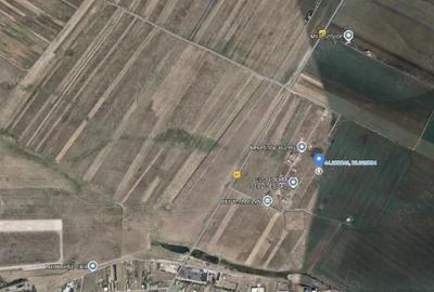 Teren Loc. Pielesti, Jud Dolj - 2