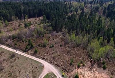 Teren intravilan 2,145mp Calatele Padure, Sat de  Vacanta - 6