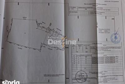 Casă cu 3 camere cu Teren 3000 Mp în Frâncești - 6