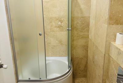 Apartament cu 2 camere semidecomandat în Prelungirea Ghencea - 8