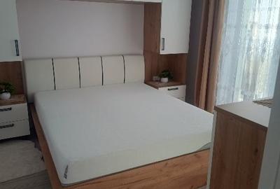 Apartament cu 2 camere decomandat, mobilat în Giroc - 1