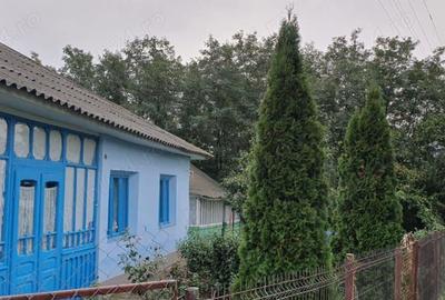 Casa, grajd, gradina plus dependinte - 7