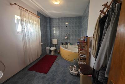 Dristor, Camil Ressu, 15 minute metrou, pe strada Ilioara - 10