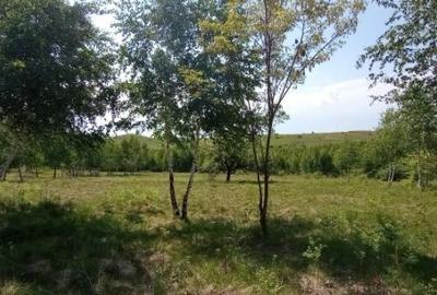 Teren de 900 mp, în Casele Micești - 6