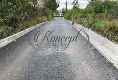 Teren intravilan generos cu utilitati si front larg in Jucu de Sus - 7