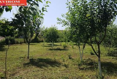 Sarata, Dealu Nou, teren 2800mp - 2
