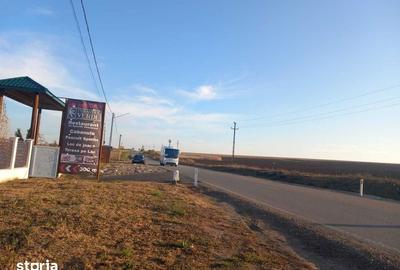 Teren de 1300 mp, în Central - 2