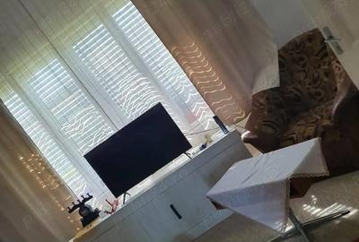 Casă cu 3 camere cu Teren 1360 Mp în Teremia Mare - 2